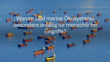 Vorschau - Präsentationen/Tafelbilder - Präsentation: Einfluss des Menschen auf Ökosysteme - Seite 2