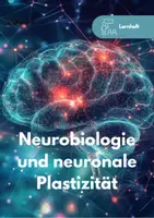 Vorschau - Arbeitsblätter - Lernheft zum Austeilen: Hormone, Nervensystem & Neurobiologie - Deckblatt