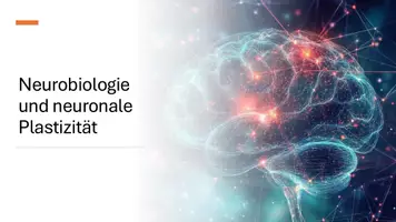 Vorschau - Präsentationen/Tafelbilder - Nervenzellen, synaptische Übertragung, Hormone und die Stressreaktion - Präsentation - Deckblatt