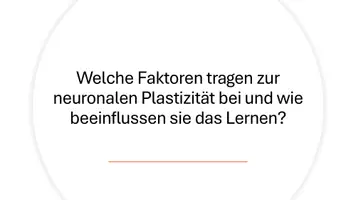 Vorschau - Präsentationen/Tafelbilder - Nervenzellen, synaptische Übertragung, Hormone und die Stressreaktion - Präsentation - Seite 2