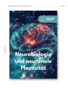 Vorschau - Unterrichtsreihen - Neurobiologie und neuronalen Plastizität - Unterrichtsmaterial - Seite 1