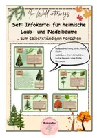 Vorschau - Merkblätter - Set: Infokartei/Bestimmungskartei Laub- und Nadelbäume - Deckblatt