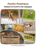 Aperçu - Apprentissages en autonomie - Puzzles numériques - Animaux de la forêt - Bandes blanches - Page de couverture