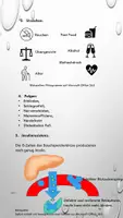 Vorschau - Arbeitsblätter - Diabetes - Seite 2