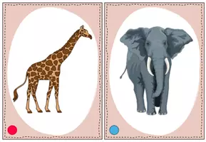 Vorschau - Fördermaterial/Inklusion - Bild- und Wortkarten: Tiere - Seite 2