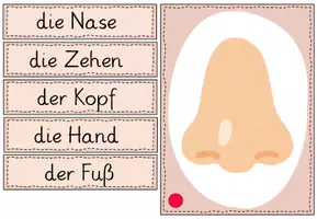 Vorschau - Fördermaterial/Inklusion - Bild- und Wortkarten: Körperteile - Deckblatt