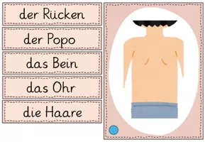Vorschau - Fördermaterial/Inklusion - Bild- und Wortkarten: Körperteile - Seite 3