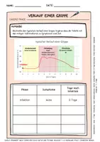 Vorschau - Stundenentwürfe - Verlauf einer Grippe: kompletter Stundenentwurf - Deckblatt