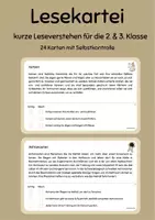 Vorschau - Stationenlernen - Lesekartei / Leseverständnis / Leseverstehen - Deckblatt