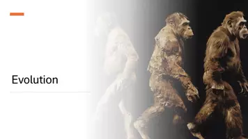 Vorschau - Präsentationen/Tafelbilder - Theorien der Evolution - Präsentation - Deckblatt