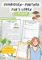 Vorschau - Arbeitsblätter - Symbiosen- Partner für's Leben | Unterrichtsreihe "Ökosystem Wald", Biologie 7. Klasse | Symbiosen - Seite 1