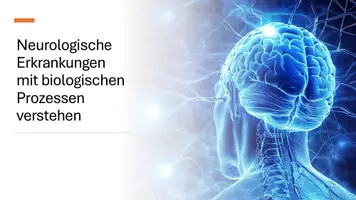 Vorschau - Präsentationen/Tafelbilder - Neuronale Signalübertragung, Synaptische Kommunikation und Neuromodulation - Präsentation - Deckblatt
