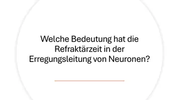 Vorschau - Präsentationen/Tafelbilder - Neuronale Signalübertragung, Synaptische Kommunikation und Neuromodulation - Präsentation - Seite 2