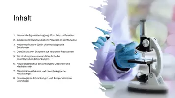 Vorschau - Präsentationen/Tafelbilder - Neuronale Signalübertragung, Synaptische Kommunikation und Neuromodulation - Präsentation - Seite 3