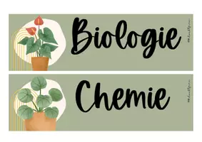 Vorschau - Poster - Boho Plants: Stundentafel | Tagestransparenz | Sek 1 - Seite 2