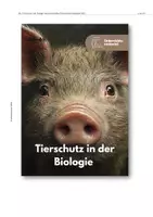 Vorschau - Unterrichtsreihen - Sparpaket: Tierschutz - Seite 2
