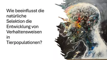 Vorschau - Präsentationen/Tafelbilder - Verhaltensökologie: Evolution und Angepasstheit von Verhalten - Präsentation - Seite 1
