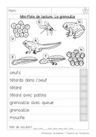 Aperçu - Feuilles d'exercices - Mini Piste de Lecture : Grenouille - Page 1