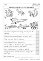 Aperçu - Feuilles d'exercices - Mini Piste de Lecture : Grenouille - Page 3