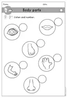 Vorschau - Arbeitsblätter - body parts Körperteile Arbeitsblatt differenziert - Englisch - Seite 2