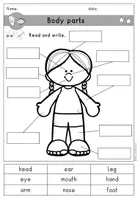 Vorschau - Arbeitsblätter - body parts Körperteile Arbeitsblatt differenziert - Englisch - Seite 3