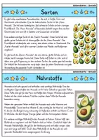 Vorschau - Arbeitsblätter - Avocado - Sparpaket | Wissenskartei, Lückentext, Quizkarten, POP Art Malvorlagen - Seite 3