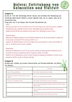 Vorschau - Arbeitsblätter - Meiose: Entstehung von Keimzellen und Vielfalt | Unterrichtsreihe "Genetik", Biologie, 9./10. Klasse - Seite 2