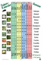 Vorschau - Arbeitsblätter - Nahrungsmittel - Saisonkalender für Obst und Gemüse mit Arbeitsblatt - Seite 1