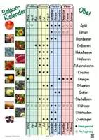 Vorschau - Arbeitsblätter - Nahrungsmittel - Saisonkalender für Obst und Gemüse mit Arbeitsblatt - Seite 3