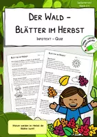Vorschau - Arbeitsblätter - Blätter im Herbst - Warum werden Blätter im Herbst bunt? - Deckblatt
