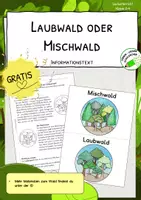 Vorschau - Arbeitsblätter - Laubwald - Mischwald - FREEBIE - Deckblatt