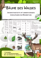 Vorschau - Arbeitsblätter - Der Wald - Bäume des Waldes - ab Klasse 3 - Deckblatt