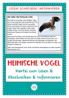 Vorschau - Arbeitsblätter - Wissenskartei: Heimische Vögel. Kartei zum Lesen & Abschreiben & Informieren - Deckblatt