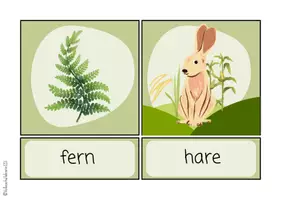 Vorschau - Spiele - Forest Materialpaket - Englisch und CLIL Material für den Sachunterricht - Seite 3