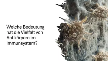 Vorschau - Präsentationen/Tafelbilder - Präsentation: Organe und Zellen des Immunsystems - Seite 1