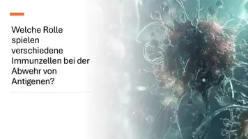 Vorschau - Präsentationen/Tafelbilder - Präsentation: Organe und Zellen des Immunsystems - Seite 2