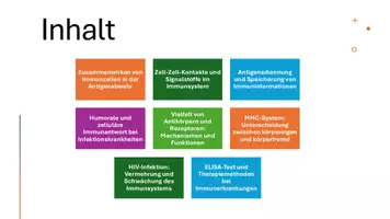 Vorschau - Präsentationen/Tafelbilder - Präsentation: Organe und Zellen des Immunsystems - Seite 3