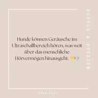 Vorschau - Poster - Fun facts zum Hund - Inhaltsfeld 1: Vielfalt und Angepasstheit von Lebewesen - Seite 2