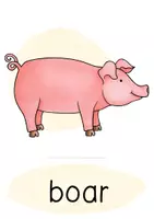 Vorschau - Stationenlernen - Englisch Farm Animals Klasse 3 - Seite 3