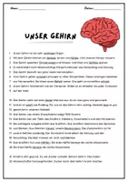 Vorschau - Arbeitsblätter - Text der Woche: Unser Gehirn - Seite 1