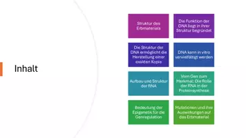 Vorschau - Präsentationen/Tafelbilder - Funktion und Struktur von DNA - Präsentation - Seite 3