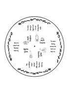Vista previa - Hojas de trabajo - Nutrition Wheel / Rueda Nutrición - página 3