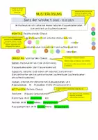Vorschau - Arbeitsblätter - Materialpaket: *Satz der Woche* für Sek I (wachsendes Paket) - Seite 2