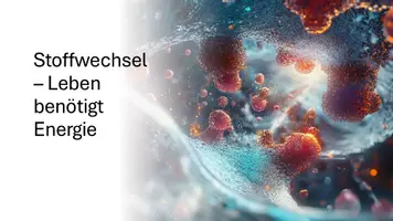 Vorschau - Präsentationen/Tafelbilder - Rolle von ATP, Enzymen und Stoffwechsel - Präsentation - Deckblatt