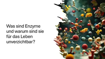 Vorschau - Präsentationen/Tafelbilder - Rolle von ATP, Enzymen und Stoffwechsel - Präsentation - Seite 2