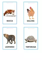 anteprima - Flashcard - CARD DEGLI ANIMALI - Pagina di copertina