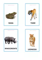 anteprima - Flashcard - CARD DEGLI ANIMALI - Pagina 2