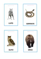 anteprima - Flashcard - CARD DEGLI ANIMALI - Pagina 3