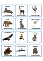 Vista previa - Juegos / Gamificación - MEMOTEST ANIMALES AUTÓCTONOS DE ARGENTINA - página 3