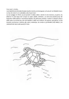 anteprima - Testo - Paoletta Caretta e gli amici del mare - Pagina 2